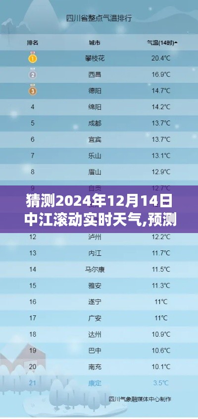 2024年12月16日 第19页