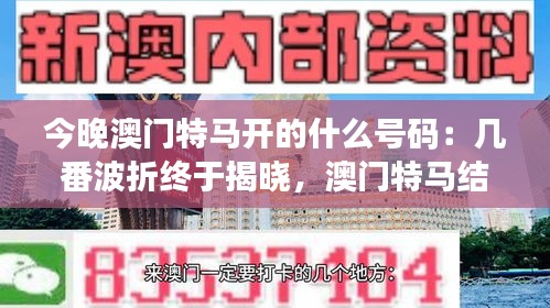 今晚澳门特马开的什么号码：几番波折终于揭晓，澳门特马结果让人惊喜连连