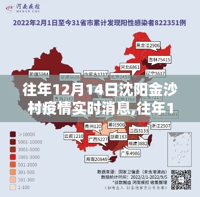 沈阳金沙村疫情深度解析与案例分析，往年12月14日的实时消息回顾与反思