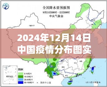 疫情下的绿色征途，中国疫情分布图实时更新与内心的宁静与自然和谐共生