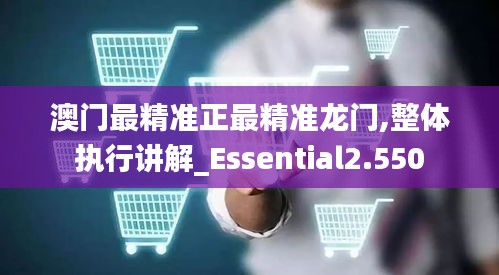 澳门最精准正最精准龙门,整体执行讲解_Essential2.550