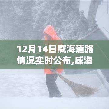 威海日常，雪中道路实况与暖心陪伴的奇遇纪实（12月14日）