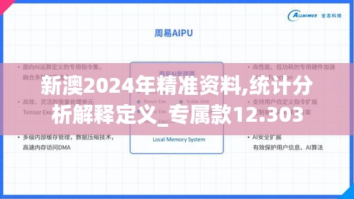 新澳2024年精准资料,统计分析解释定义_专属款12.303