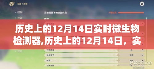 2024年12月16日 第9页