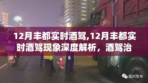 深度解析丰都实时酒驾现象，治理观点与个人立场探讨