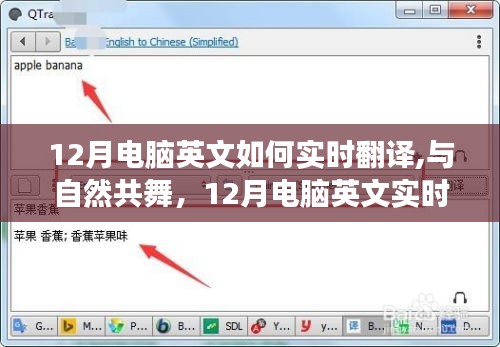 开启心灵之旅，12月电脑英文实时翻译，与自然共舞