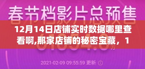 揭秘宝藏店铺，探寻12月14日实时数据之旅