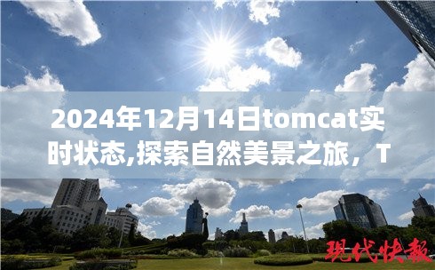 Tomcat实时状态与自然美景探索，冬日暖阳下的宁静之旅