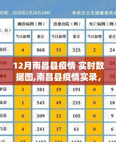 南昌县疫情实录，十二月实时数据图深度解析