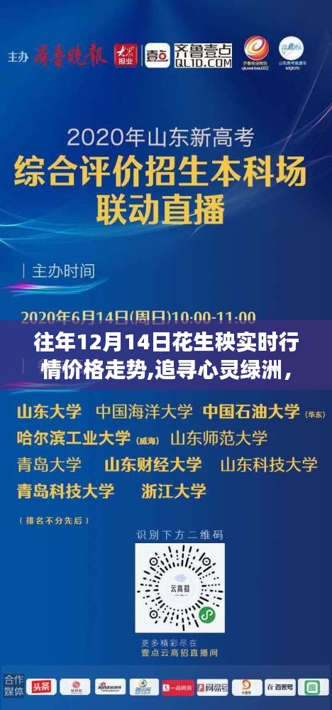 往年12月14日花生秧行情分析，追寻心灵绿洲的平和之旅