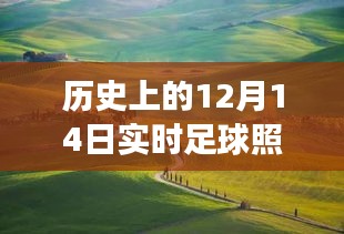 2024年12月16日 第4页