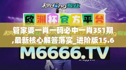 管家婆一肖一码必中一肖351期,最新核心解答落实_进阶版15.669