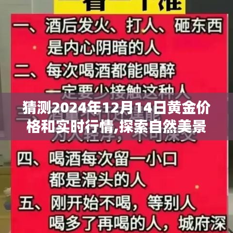 黄金之旅，预测黄金价格与探索自然美景的宁静之旅（2024年12月14日行情分析）