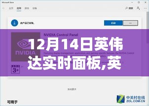 英伟达实时面板，暖心日常与科技奇遇记的交汇点（12月14日）