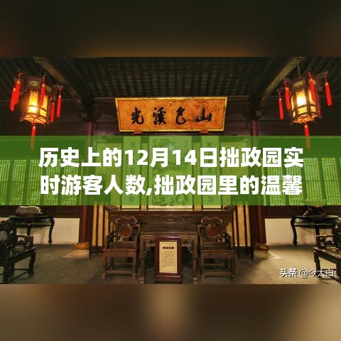 拙政园12月14日游客人数与温馨故事回顾