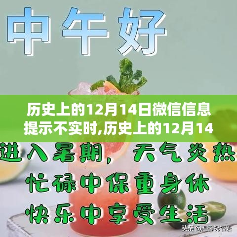 微信信息实时性问题揭秘，揭秘历史上的12月14日背后的真相与影响