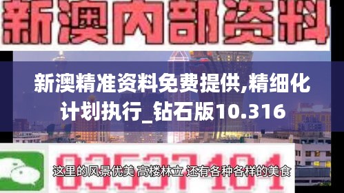 新澳精准资料免费提供,精细化计划执行_钻石版10.316