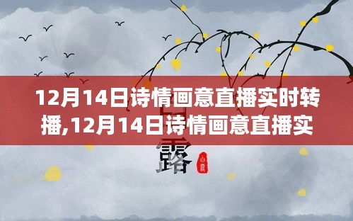 12月14日诗情画意直播实时转播，网络艺术展现的新视角与争议焦点探讨