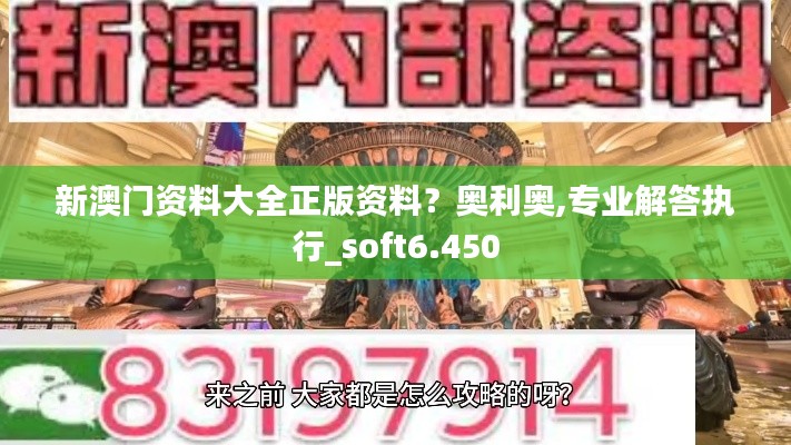 新澳门资料大全正版资料？奥利奥,专业解答执行_soft6.450