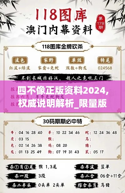 四不像正版资料2024,权威说明解析_限量版2.457