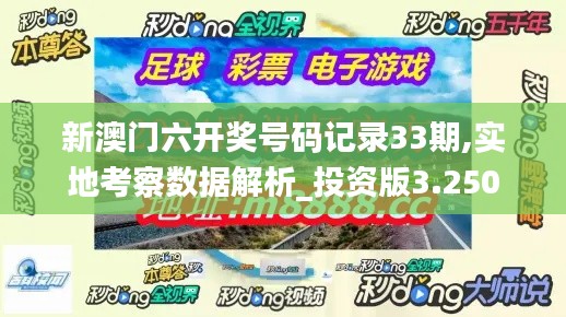 新澳门六开奖号码记录33期,实地考察数据解析_投资版3.250