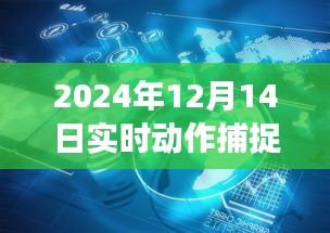 2024年12月17日 第33页