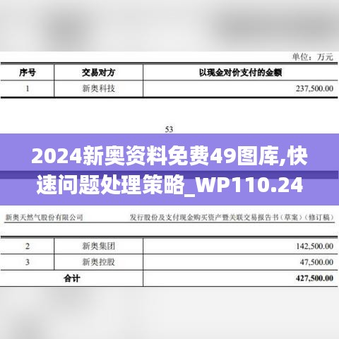 2024新奥资料免费49图库,快速问题处理策略_WP110.244