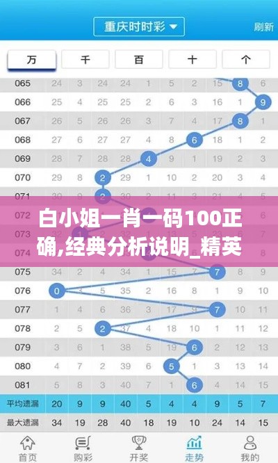 白小姐一肖一码100正确,经典分析说明_精英款6.218