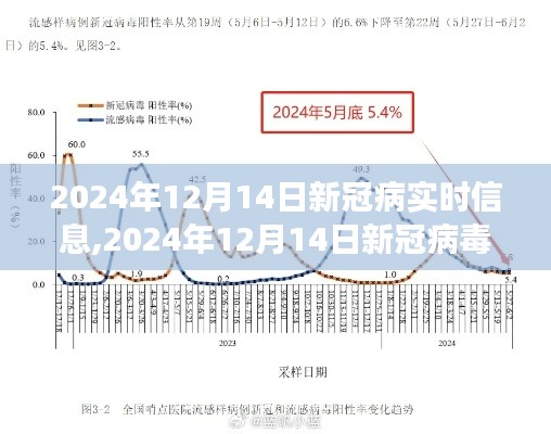 全球新冠疫情进展报告，新冠病毒实时信息综述与应对策略分析（2024年12月14日）