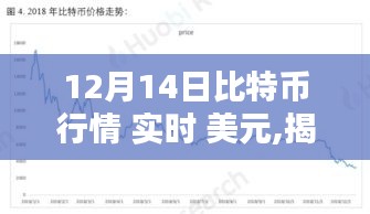 揭秘比特币行情深度解析，十二月十四日实时汇率走向与美元对比表现分析