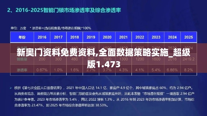 新奥门资料免费资料,全面数据策略实施_超级版1.473