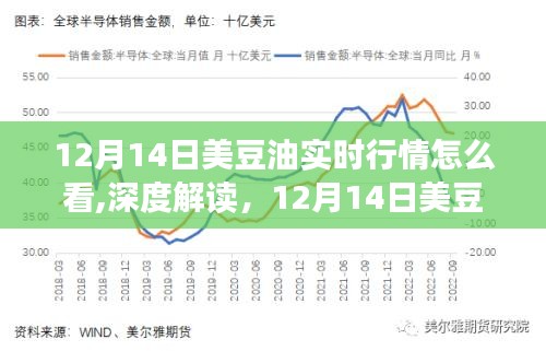 深度解读，12月14日美豆油实时行情分析与市场洞察