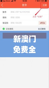 新澳门免费全年资料查询,实地验证方案_黄金版2.419