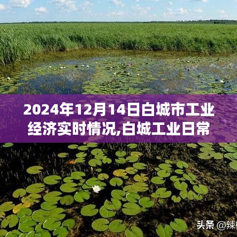 白城市工业经济实时动态，温馨工业之旅，2024年12月14日深度观察。