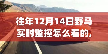 揭秘野马实时监控，探索自然美景之旅，探寻内心宁静与平和的旅程