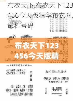 布衣天下123456今天版精华布衣图,试机号码,专家分析解释定义_T8.104