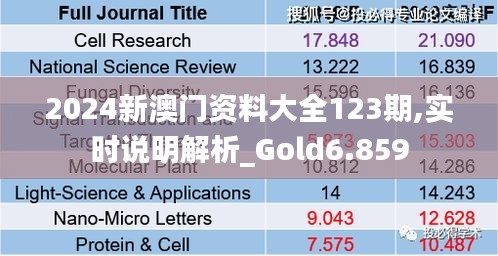 2024新澳门资料大全123期,实时说明解析_Gold6.859