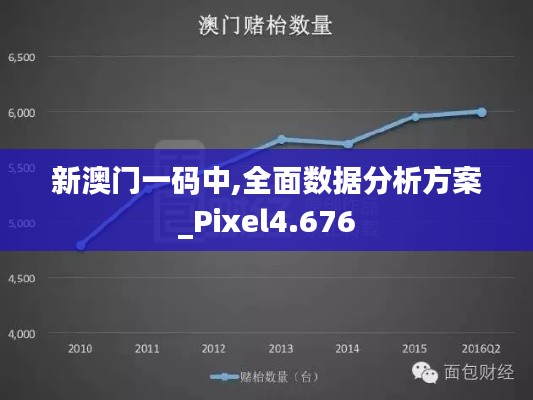 新澳门一码中,全面数据分析方案_Pixel4.676