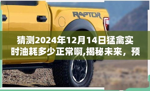 揭秘预测，2024年12月14日猛禽真实油耗揭秘与猜测