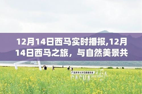 12月14日西马之旅，与自然美景共舞，探寻内心宁静乐章的实时播报