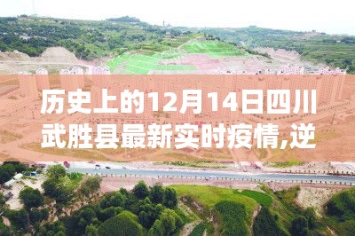 四川武胜县疫情实时更新，逆风砥柱，展现坚韧与智慧