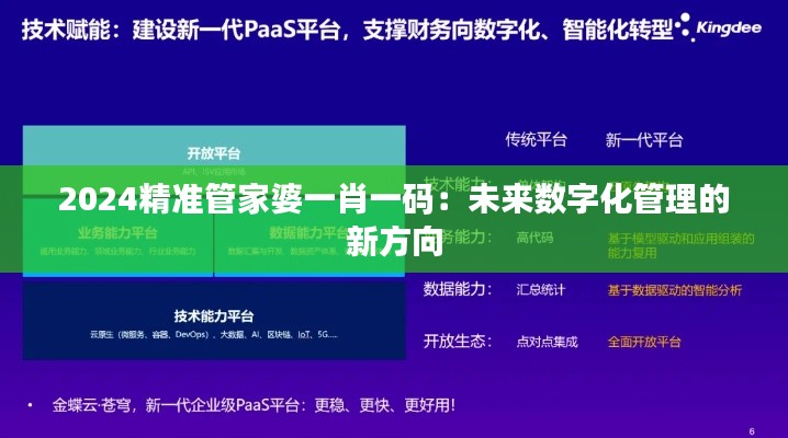 2024精准管家婆一肖一码：未来数字化管理的新方向