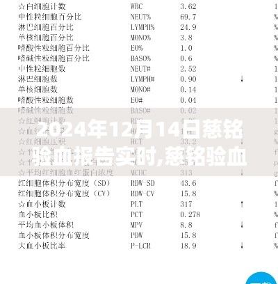 2024年12月17日 第11页