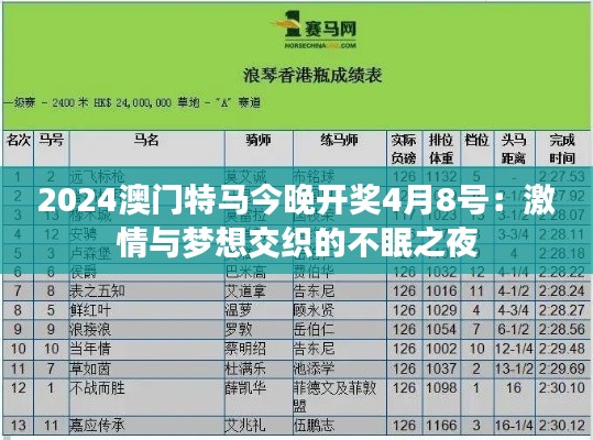 2024年12月17日 第5页