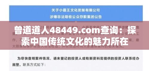 曾道道人48449.com查询：探索中国传统文化的魅力所在