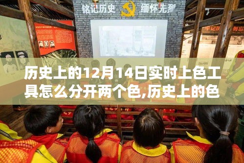 历史上的色彩探索，实时上色工具与内心宁静的自然调色板——12月14日的色彩探索之路