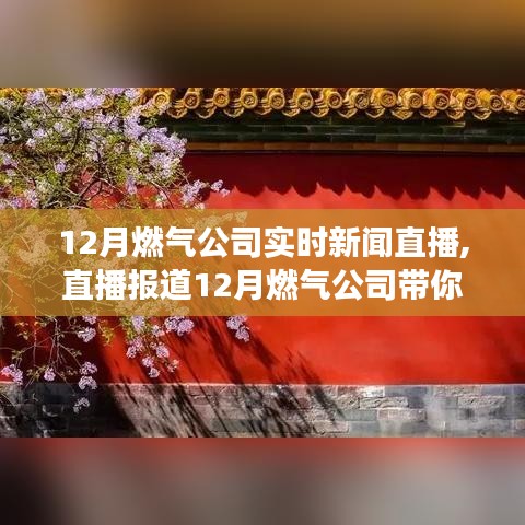 12月燃气公司新闻直播，探寻自然美景，心灵之旅启程