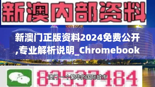 新澳门正版资料2024免费公开,专业解析说明_Chromebook1.216