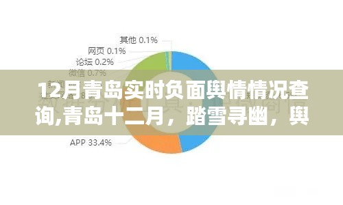 2024年12月18日 第51页