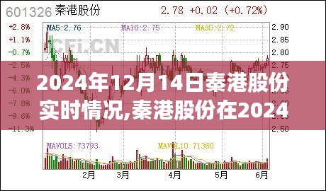 秦港股份深度解析，2024年12月14日运营状况实时报告